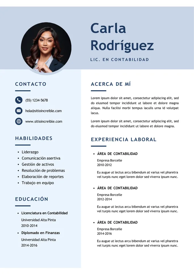 CV Template